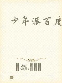 少年派百度百科