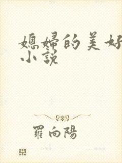 媳妇的美好时代小说封面