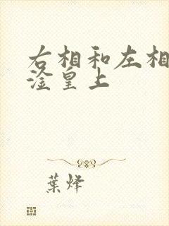 右相和左相一起淦皇上封面