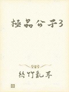 极品公子3