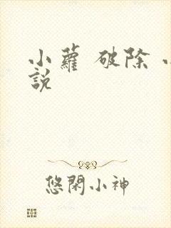 小萝 破除 小说