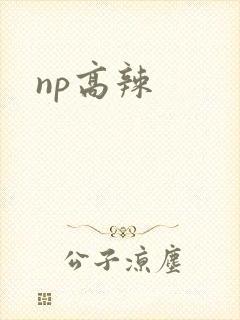 np高辣