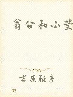 翁公和小莹封面