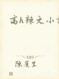 高h辣文小说