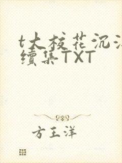t大校花沉浮录续集TXT