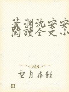 萧渊沈安安免费阅读全文小说封面