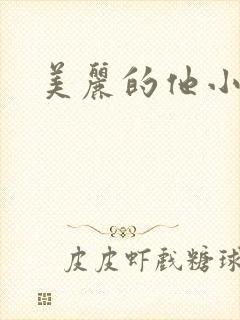 美丽的他小说