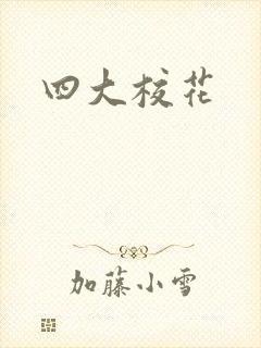 四大校花封面