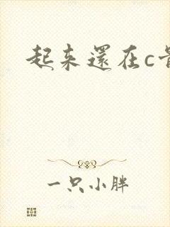 起来还在c骨科