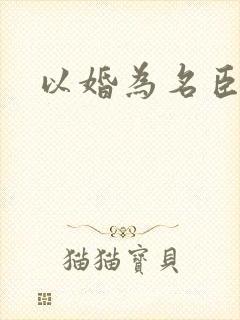 以婚为名臣言封面