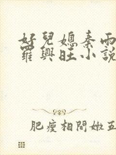 好儿媳秦雨罗明罗兴旺小说封面