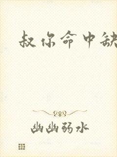叔你命中缺我