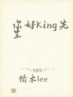 你好king先生