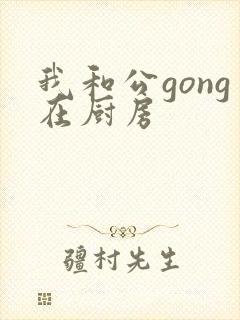 我和公gong在厨房