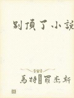 别顶了小说