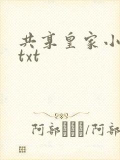 共享皇家小公主txt