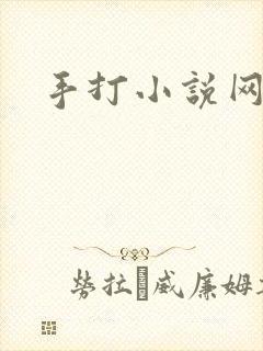手打小说网