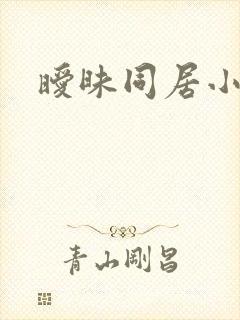 暧昧同居小说封面