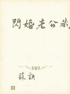 闪婚老公藏不住封面