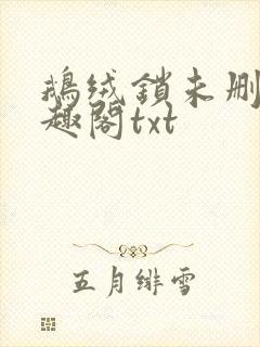 鹅绒锁未删除笔趣阁txt封面
