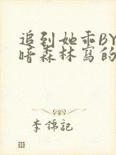 追到她乖BY黑暗森林写的小说封面