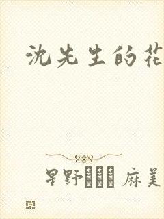 沈先生的花式