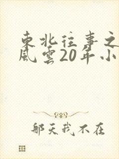 东北往事之黑道风云20年小说封面