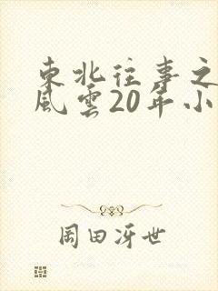 东北往事之黑道风云20年小说封面