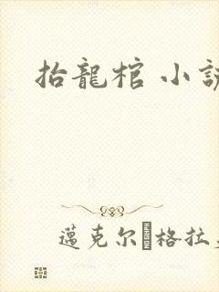 抬龙棺 小说封面