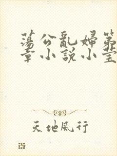 荡公乱妇第51章小说小莹