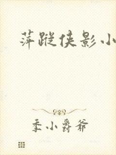 萍踪侠影小说