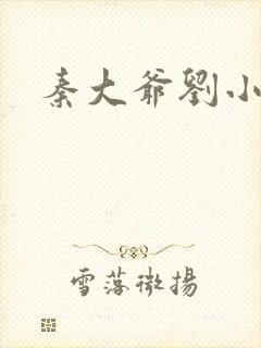 秦大爷刘小静封面