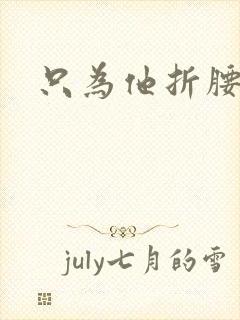 只为他折腰封面