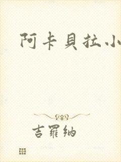阿卡贝拉小说