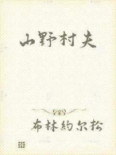 山野村夫封面