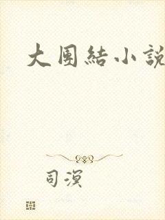 大团结小说下载