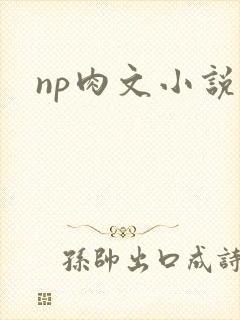 np肉文小说