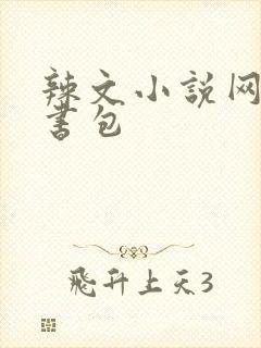 辣文小说网第二书包