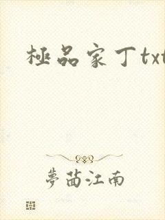 极品家丁txt