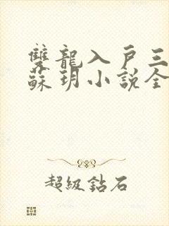 双龙入户三人行苏玥小说全文阅读