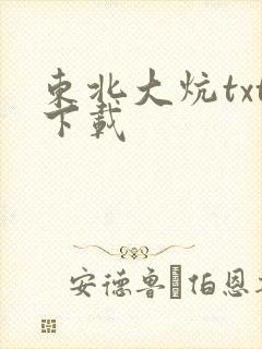 东北大炕txt下载