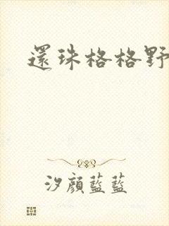 还珠格格野传