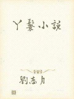 丫鬟小说