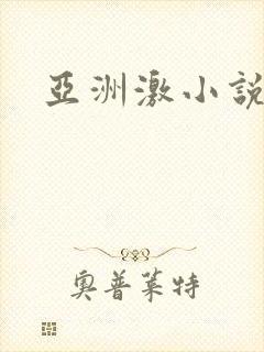 亚洲激小说