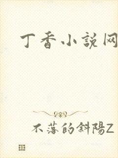 丁香小说网