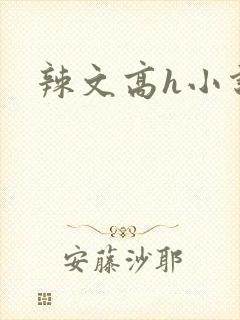 辣文高h小说封面