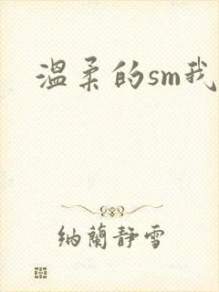 温柔的sm我
