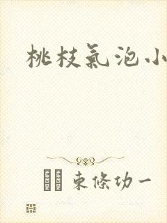 桃枝气泡小说