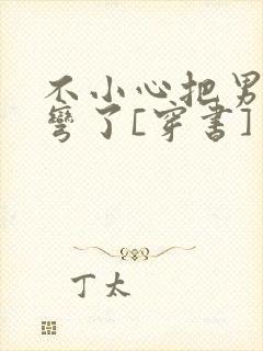 不小心把男主掰弯了[穿书]封面