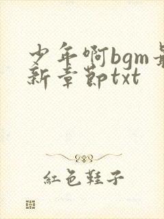 少年啊bgm最新章节txt